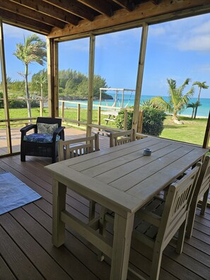 the new screen porch