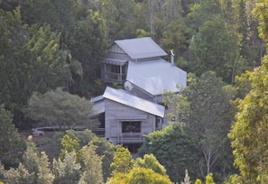 Spectacular hillside architecture in rainforest gardens