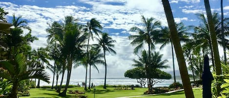 Beautiful, direct Ocean view from Living Room, Dining Room, Kitchen, Lanais
