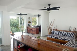 Main entrance view of music and reading  library, sofa and kitchen.