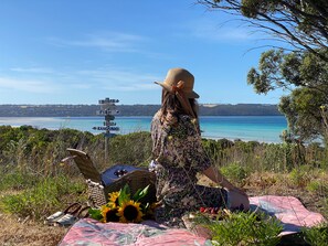 Picnic on your private dune overlooking the ocean, right next to the house. 