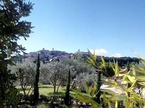 View from the nearby