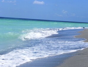 Sandy Ocean Beaches nearby