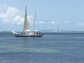 Manatee river overlooking skyway bridge view from marina at end of street