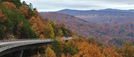 Foothills Parkway view. 