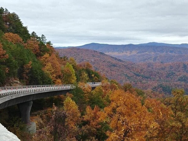 Foothills Parkway view. 