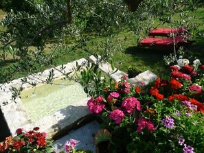 Jacuzzi plunge pool