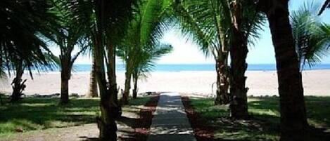 Strand