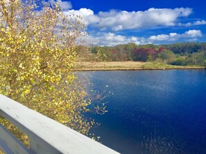 Mill Pond, in fall, as viewed from our deck.