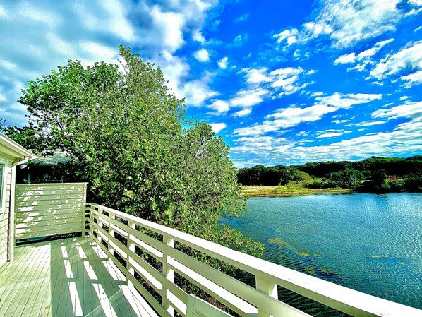 Mill Pond, in September, as viewed from our deck.