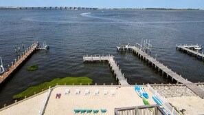Back Yard View