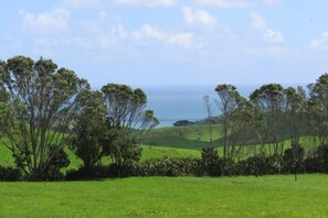 Private and Unique Setting