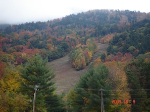 Mt. Ascutney trails