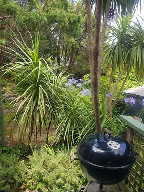 Back garden