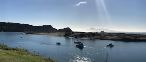 The view from the beachfront bach