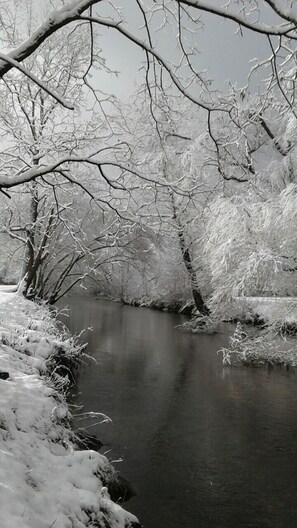 … beautiful in the Winter