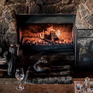 open log fire in lounge