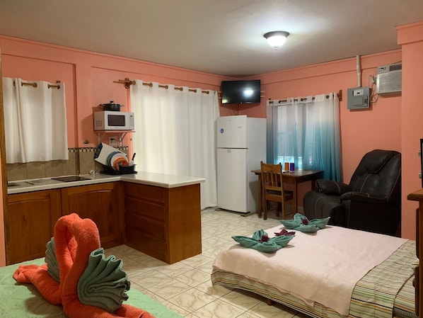Living area, kitchen, smart TV, recliner, full size fridge