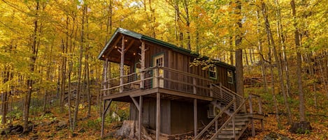 With all the maples around the cabin, it is always beautiful here in the fall.