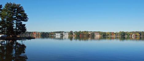 Järvi