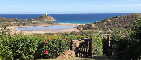 un giardino fiorito con vista...mare!