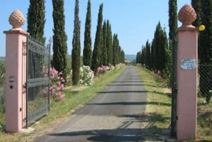 Garden, Park