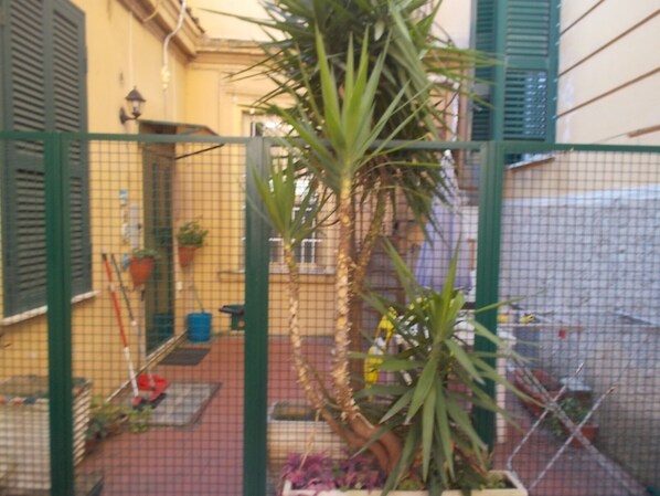 Property grounds