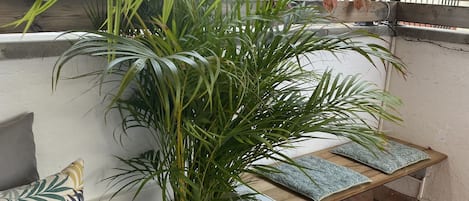 施設の敷地