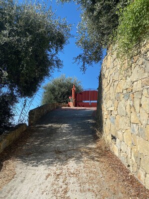 Access road to the property, from mainstreet