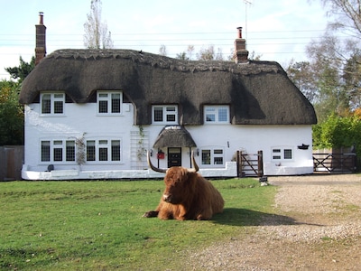 Beautiful Thatched Cottage In Village Location, With Direct New Forest Access