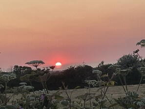 Enjoy sea views and sunsets from the end of the garden