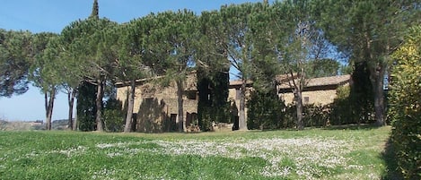 Parco della struttura