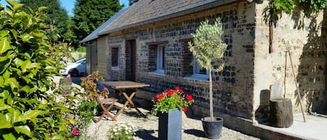 Terrasse arrière 