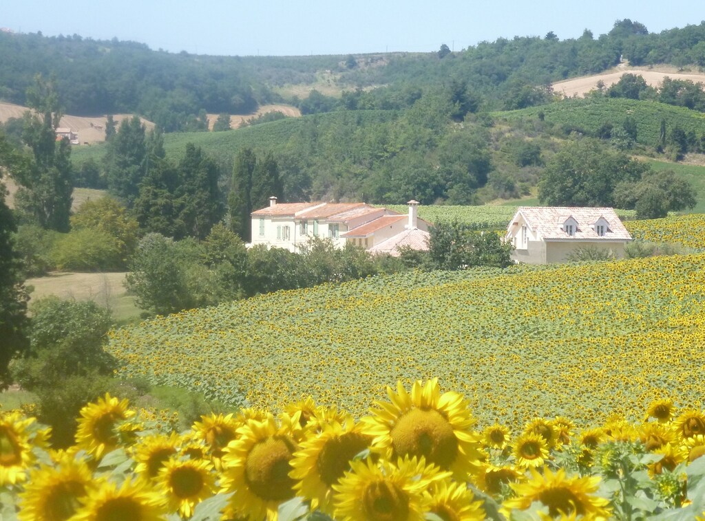 Hounoux, Aude (Département), Frankreich