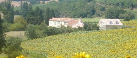 Domaine de la Barre