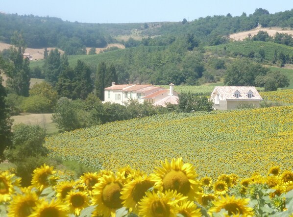 Domaine de la Barre