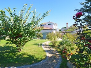 Baum, Eigentum, Blume, Pflanze, Grundeigentum, Haus, Frühling, Botanik, Garten, Zuhause