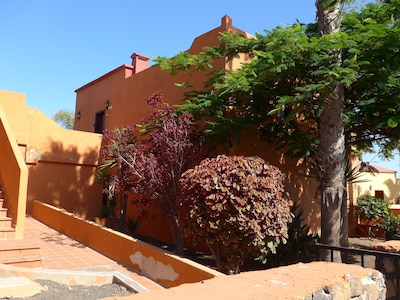 Oasis Royal - comfortable apartment in Corralejo near the center and the sea.