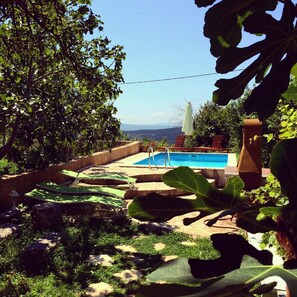 Pool area