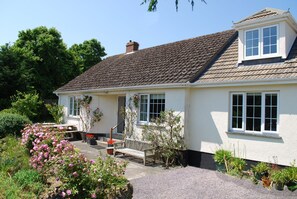 Terrace and garden