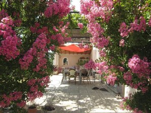 vue sur la terrasse fleurie