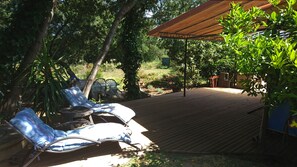 jardin sous les mimosas