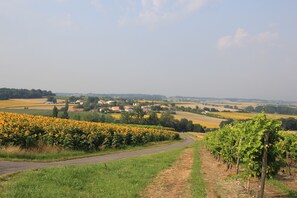Leoville