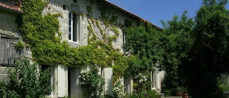 The courtyard in summer