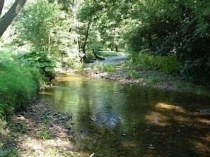River Yarty in Beckford Cottage garden