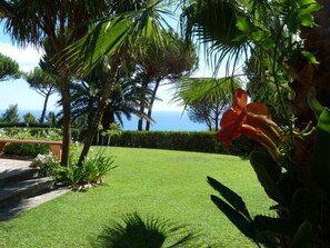 Garden, Park