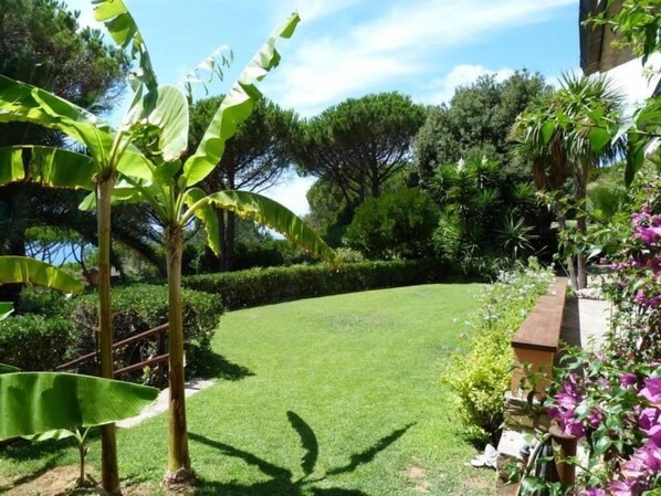 Garden, Park