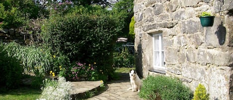 Front view of the house with Roxy pet dog and private guests garden to the side.