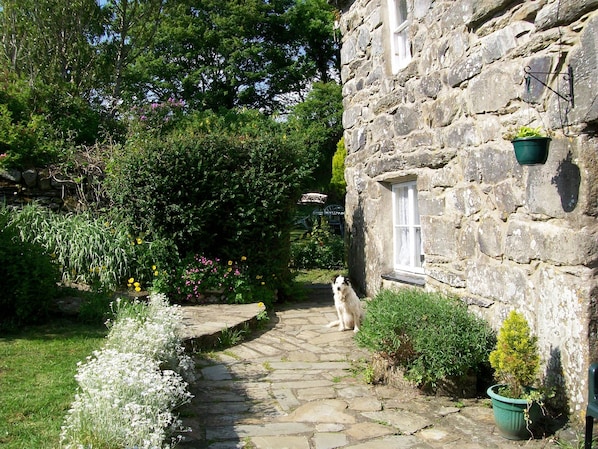 Front view of the house with Roxy pet dog and private guests garden to the side.