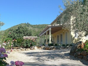 Eigentum, Haus, Zuhause, Grundeigentum, Gebäude, Hütte, Botanik, Ländliches Gebiet, Baum, Landschaft